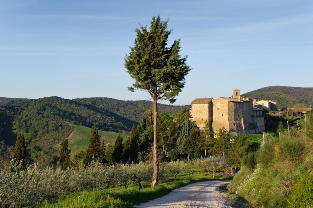 Umbria Nel Cuore Cannara Dış mekan fotoğraf